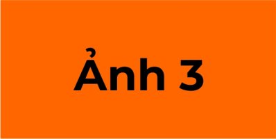 ANH_3.jpg