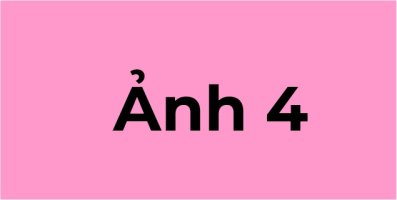 ANH_4.jpg