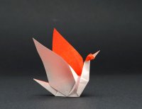 red crown crane (3).JPG