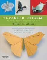 advanced origami.jpg