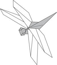 2016_Dragonfly.png