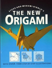 Steve and Megumi Biddle - The New Origami1.jpg