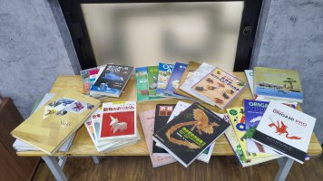 CLB_Origami_HN (9).jpg CLB_Origami_HN (9).jpg