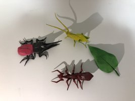 IMG_0919.jpeg