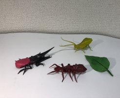 IMG_0920.jpeg